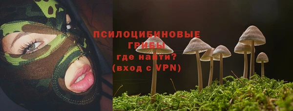 прущая мука Усмань