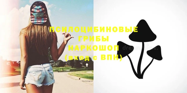 mix Ельня