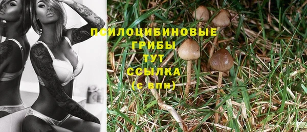 mix Ельня